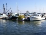 Harbor