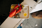 Harraseeket Lunch and Lobster